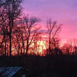 Meet your Posher, Shawna